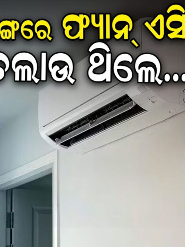 AC Tips: ଏକାସାଙ୍ଗରେ AC ଆଉ ସିଲିଂ ଫ୍ୟାନ୍ ଲଗାଉଛନ୍ତି ? ଜାଣିଛନ୍ତି ତ କଣ ହେବ!